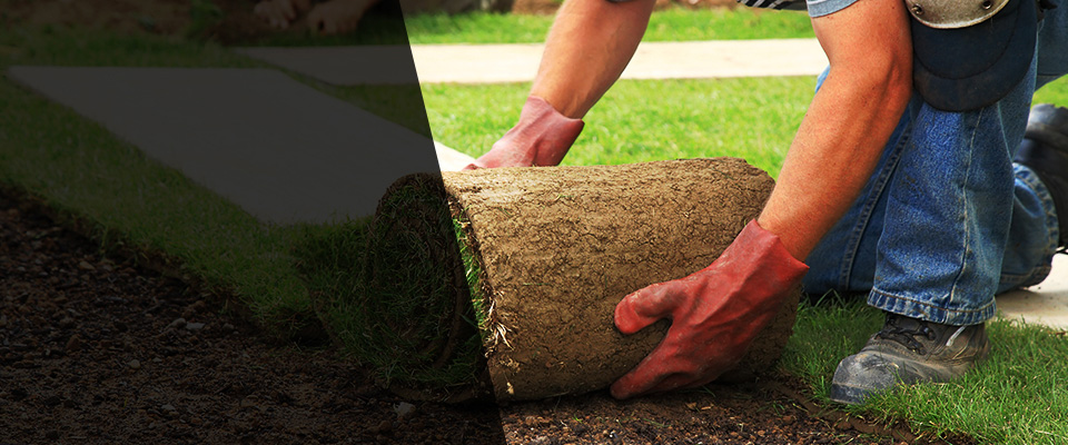 Medical Lake Landscapers